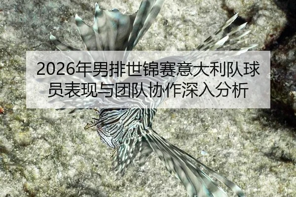 nian-nan-pai-shi-jin-sai-yi-da-li-dui-qiu-yuan-biao-xian-yu-tuan-dui-xie-zuo-shen-ru-fen-xi-2-439.jpg