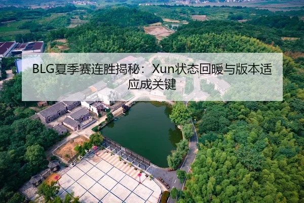 BLG夏季赛连胜揭秘：Xun状态回暖与版本适应成关键